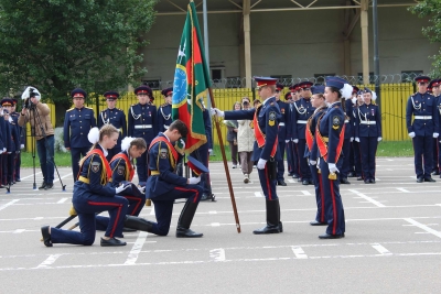 img144_26125.jpg